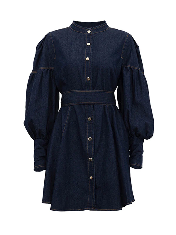 A-Line Long Sleeves Buttoned Pleated Split-Joint Tied Waist Mock Neck Mini Dresses - Image 5