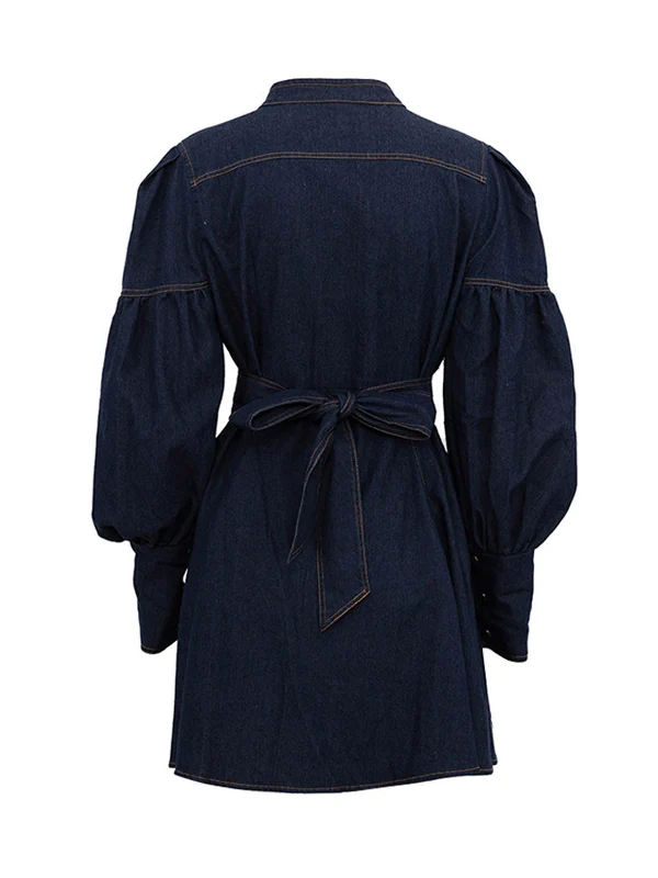 A-Line Long Sleeves Buttoned Pleated Split-Joint Tied Waist Mock Neck Mini Dresses - Image 6