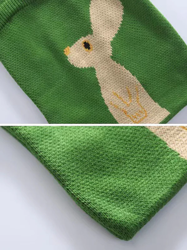 Casual Weave Contrast Color Animal Bags Accessories - Image 6
