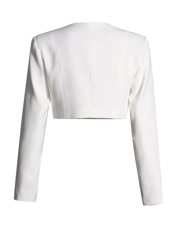 Long Sleeves Buttoned Solid Color Split-Joint Round-Neck Blazers Top + Zipper Wide Leg Mesh Pleated Pants Bottom Two Pieces Set - Image 6