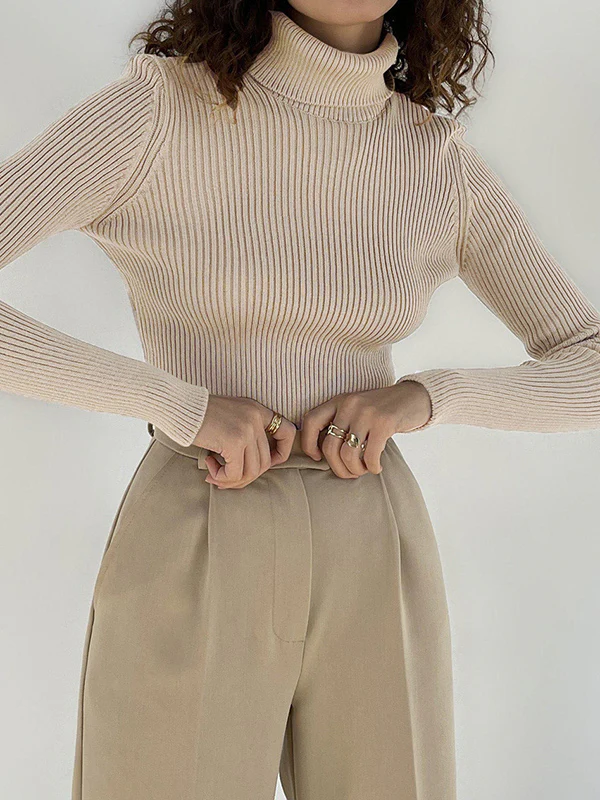 Long Sleeves Skinny Solid Color High Neck Pullovers Sweater Sweater Tops - Image 17