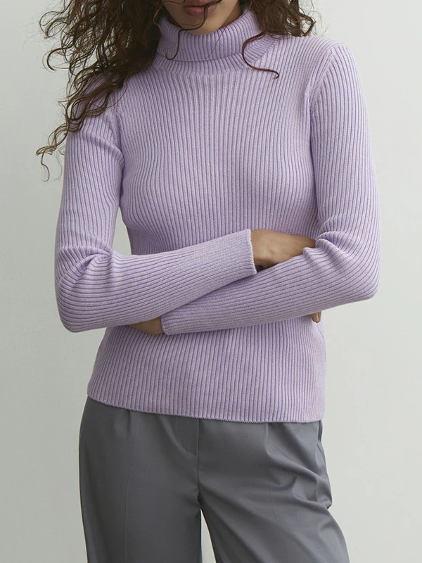 Long Sleeves Skinny Solid Color High Neck Pullovers Sweater Sweater Tops - Image 6
