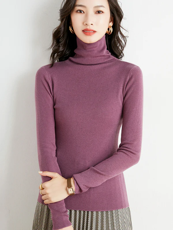 Simple Skinny Long Sleeves Solid Color High-Neck Sweater Tops Pullovers - Image 20