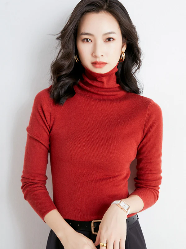 Simple Skinny Long Sleeves Solid Color High-Neck Sweater Tops Pullovers - Image 29