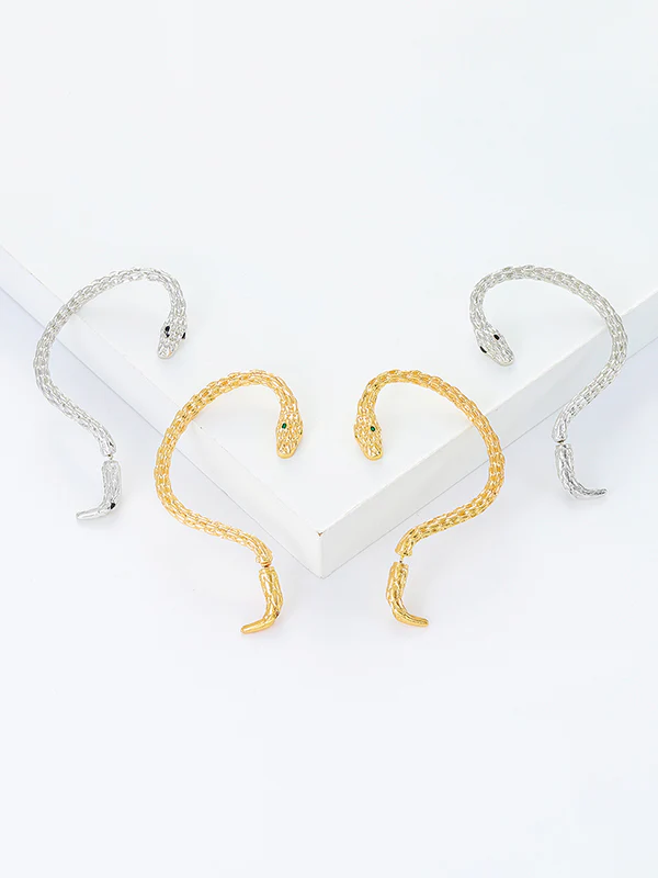 Snake Shape Earhook Earrings - Image 2