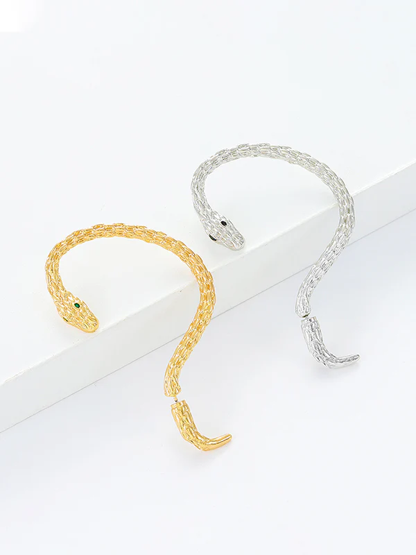 Snake Shape Earhook Earrings - Image 3