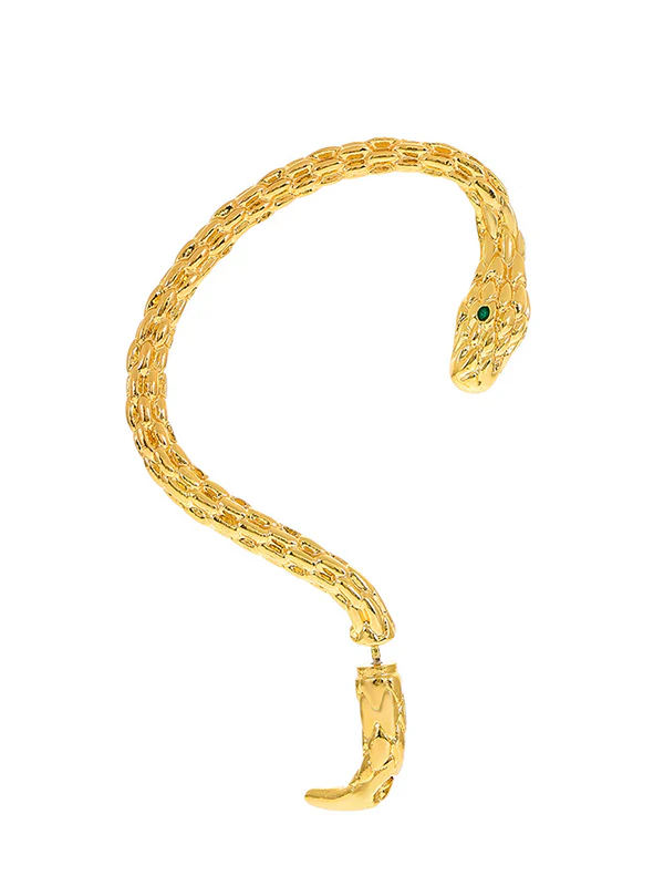 Snake Shape Earhook Earrings - Image 5