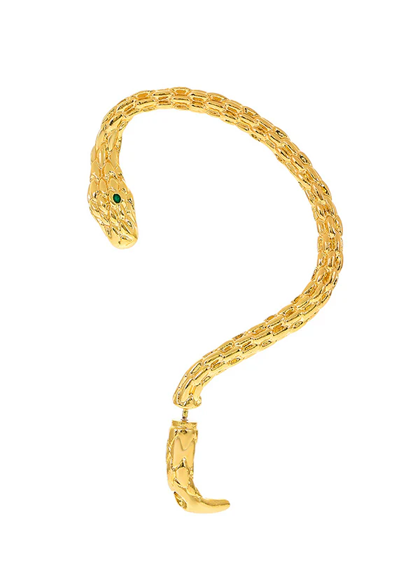 Snake Shape Earhook Earrings - Image 6