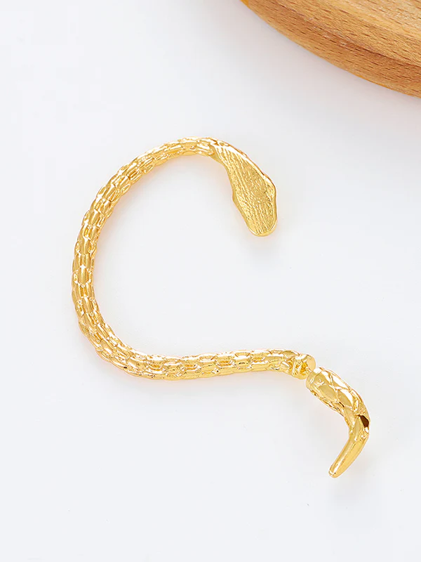 Snake Shape Earhook Earrings - Image 9